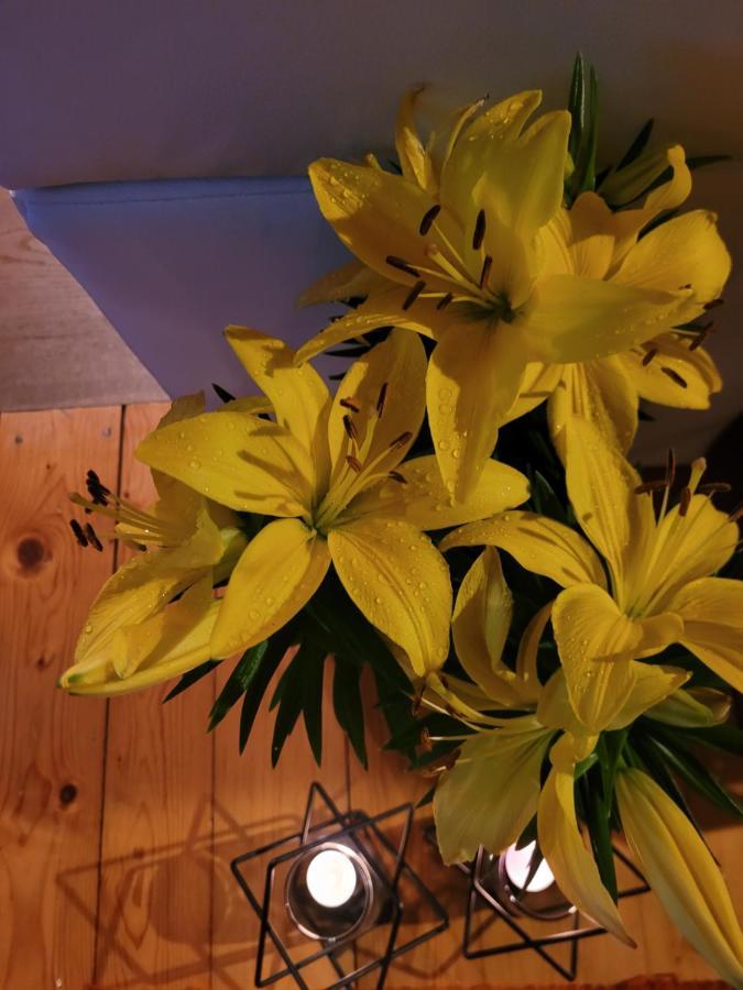 Apartament Lilla يلينيا غورا المظهر الخارجي الصورة