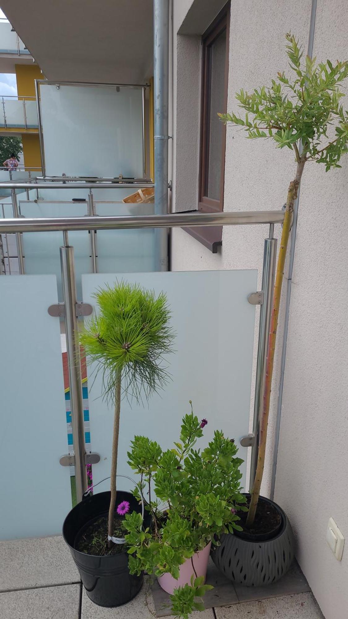 Apartament Lilla يلينيا غورا المظهر الخارجي الصورة